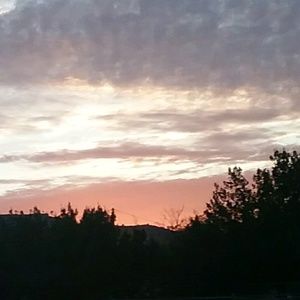 Meet your Posher, Dori